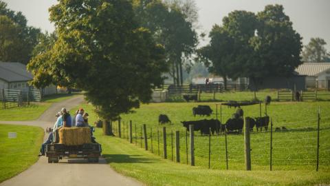 The 2021 Beef Bash included a hay ride tour of the UK Animal Research Center.